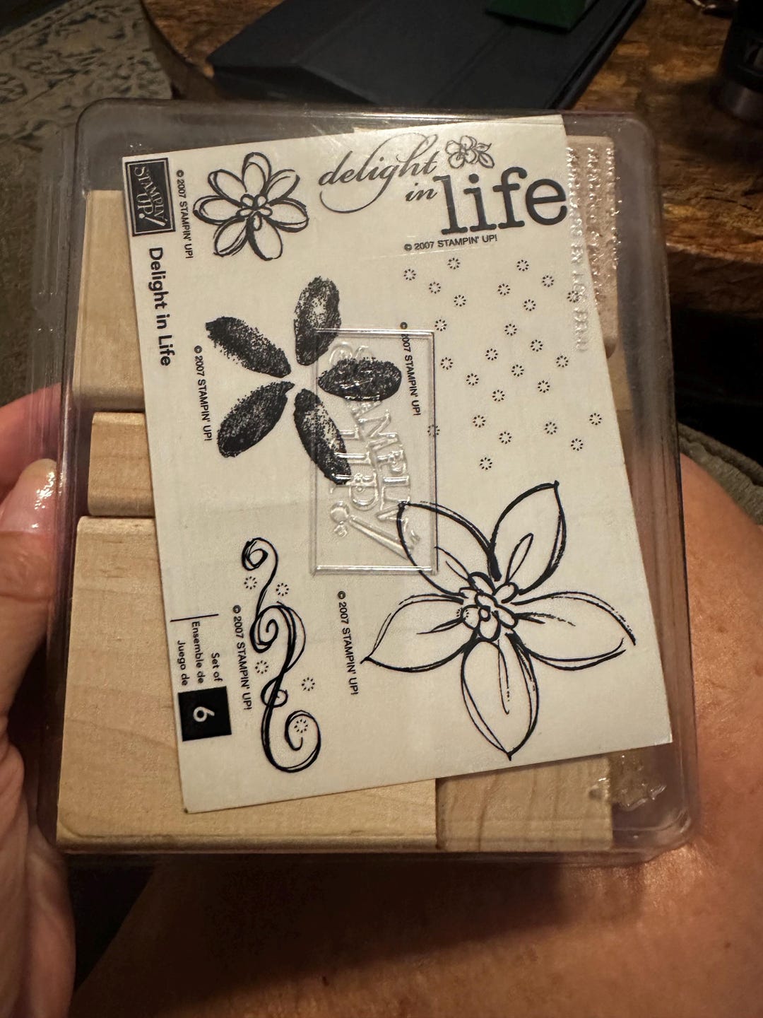 Stamp up Stamp Set - Delightful in Life Set 6 Never Been Used - Etsy