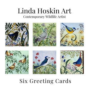 May include: Six greeting cards featuring colourful illustrations of birds and flowers. The cards are printed on white cardstock and have a matte finish.
