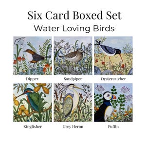 Tarjetas de felicitación con motivos de aves silvestres, arte inspirado en la naturaleza, seis diseños de fauna silvestre en acuarela, estuche de regalo. imagen 1