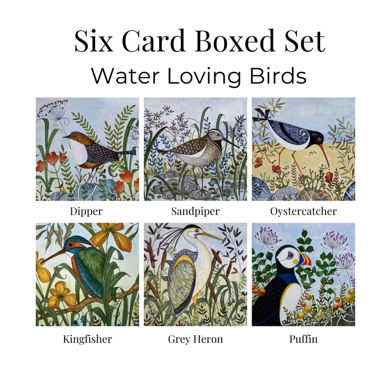 Tarjetas de felicitación con motivos de aves silvestres, arte inspirado en la naturaleza, seis diseños de fauna silvestre en acuarela, estuche de regalo. imagen 1