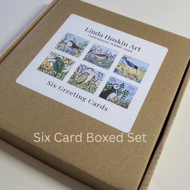 Tarjetas de felicitación con motivos de aves silvestres, arte inspirado en la naturaleza, seis diseños de fauna silvestre en acuarela, estuche de regalo. imagen 3