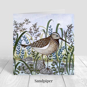 Tarjetas de felicitación con motivos de aves silvestres, arte inspirado en la naturaleza, seis diseños de fauna silvestre en acuarela, estuche de regalo. imagen 5