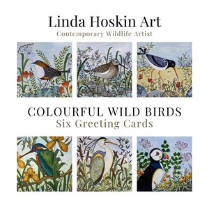 Puede incluir: Seis tarjetas de felicitaci&oacute;n con ilustraciones de aves silvestres coloridas. Las tarjetas presentan ilustraciones de acuarela de varias aves en sus h&aacute;bitats naturales, con el texto "Linda Hoskin Art" y "Colourful Wild Birds".
