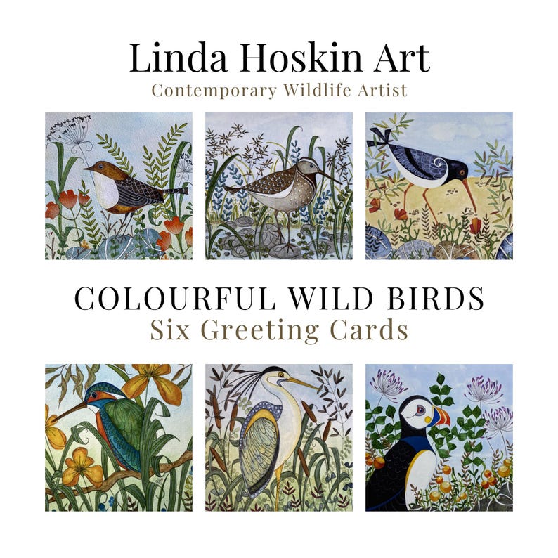 Puede incluir: Seis tarjetas de felicitaci&oacute;n con ilustraciones de aves silvestres coloridas. Las tarjetas presentan ilustraciones de acuarela de varias aves en sus h&aacute;bitats naturales, con el texto "Linda Hoskin Art" y "Colourful Wild Birds".