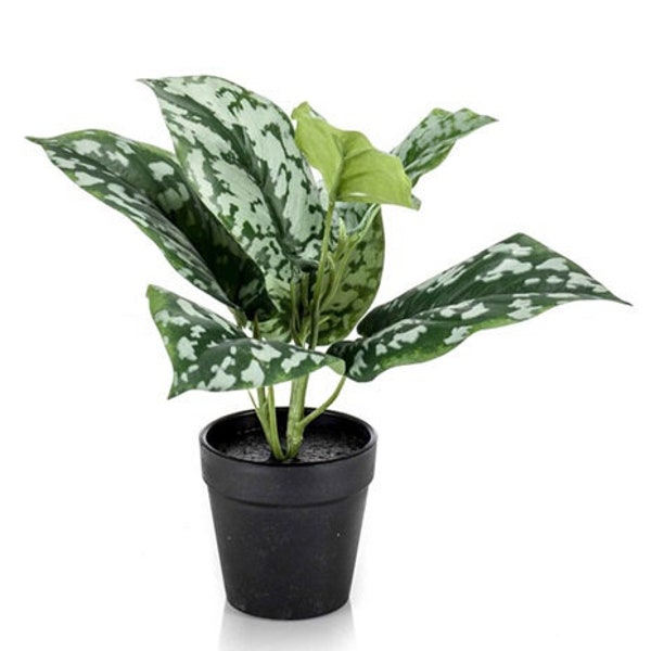 Artificial Pothos/Scindapsus pictus bush green/grey 24cm in black pot 9.5cm