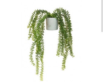 Artificial Succulent Trailing Fern 45cm/17.5 Inches in a Grey Pot