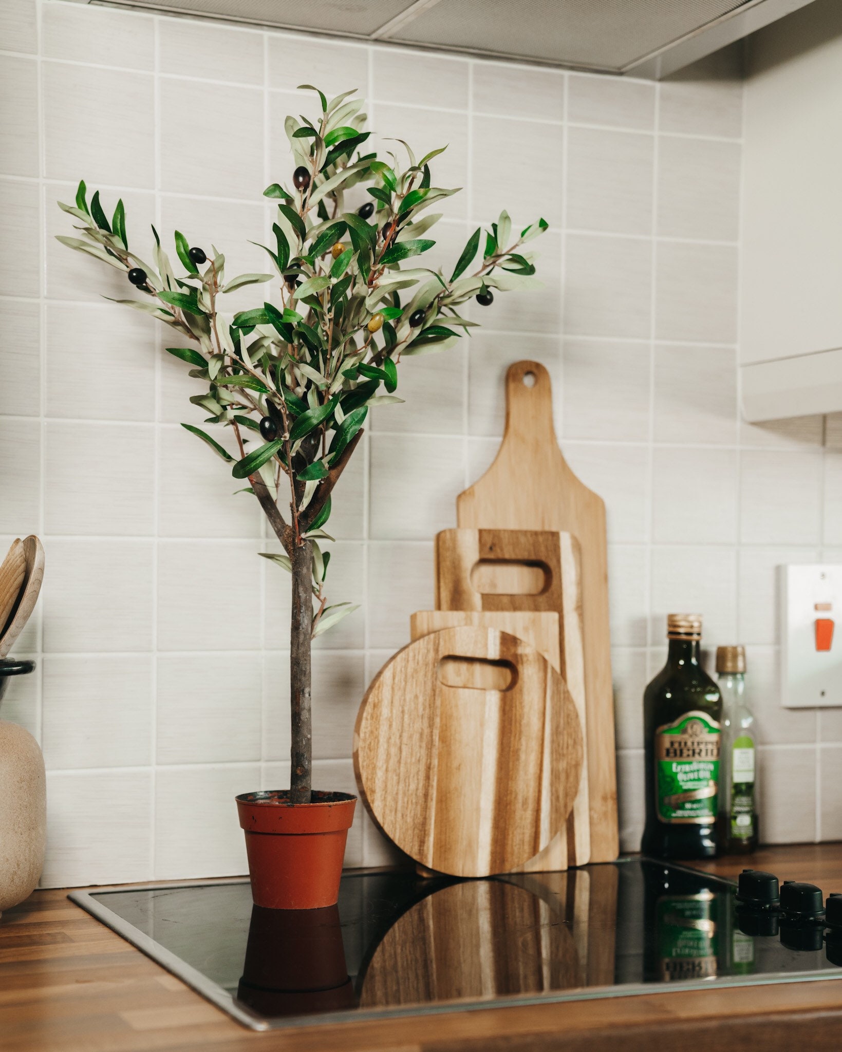 Olive tree artificial -  Italia