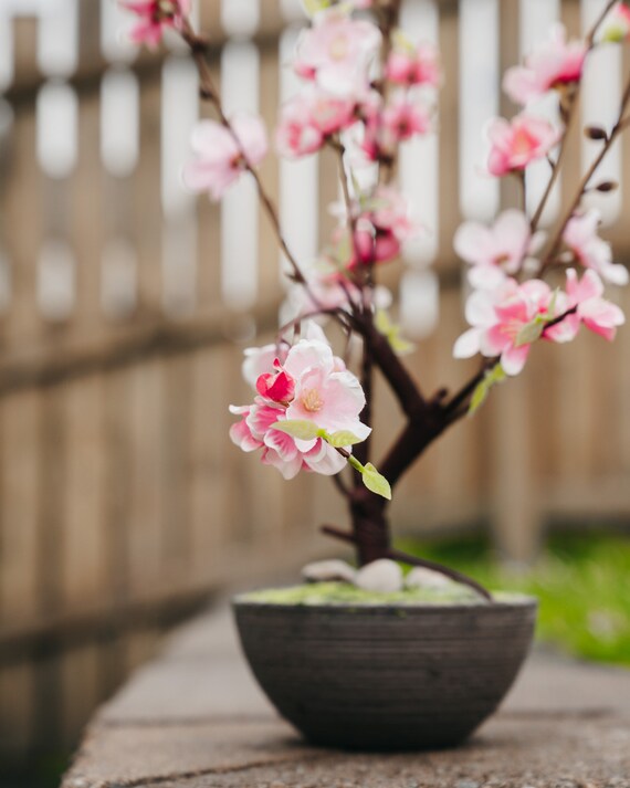 Cherry Blossom in Pot Pink 32cm/12.5 Inches Etsy