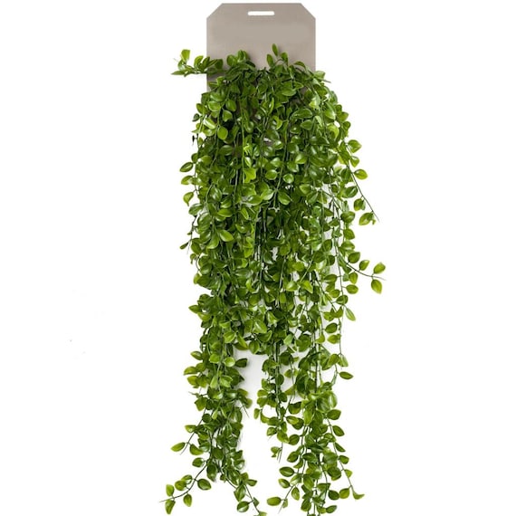 Decoration Green Artificial Leaves Ficus Ivy, Packaging Size: 24