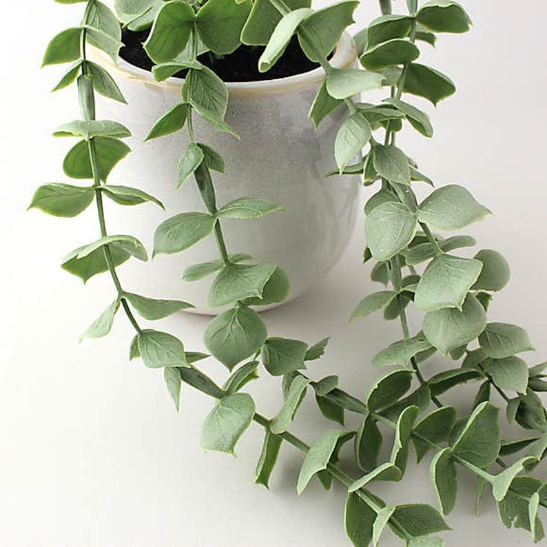 Artificial Trailing Eucalyptus Green in Reactive Pot Etsy