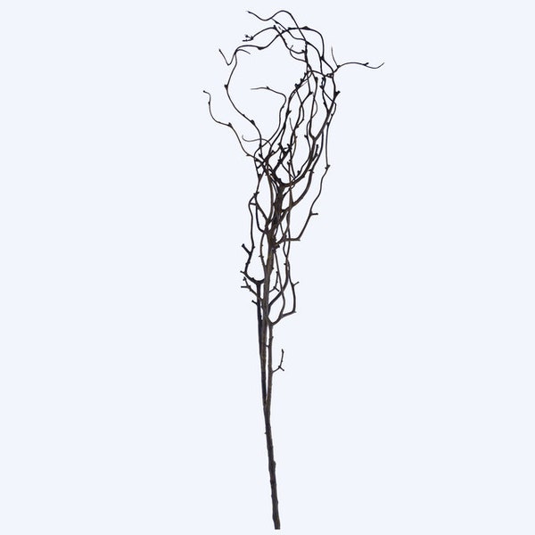 Brown Twig Branch 104cm