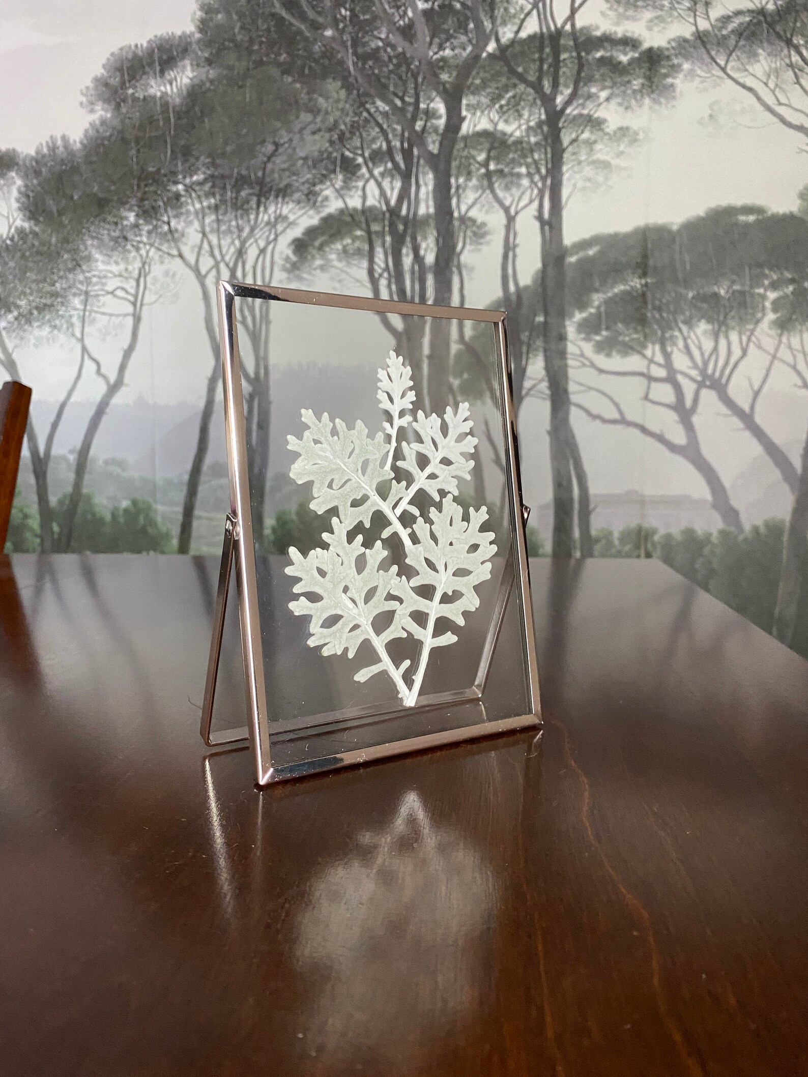 Real Pressed Flower Frame Double Glass Frame Dried Pressed Etsy