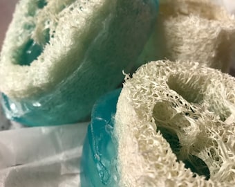 WINTER LOOFAH Soap