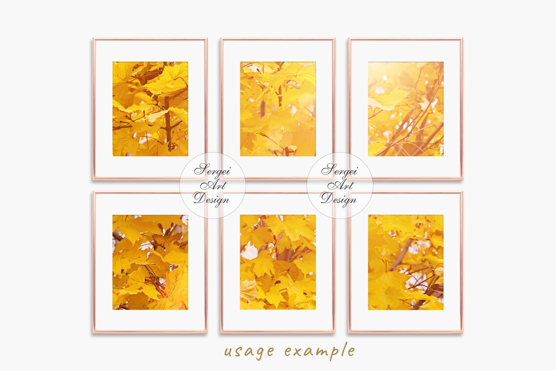 Digital Set Of 6 Rose Gold Frames Mockup 8x10 Gold Frames Etsy digital-set-of-6-rose-gold-frames-mockup-8x10-gold-frames-etsy