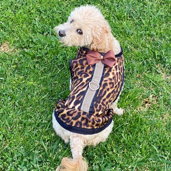 Dog Dress With Harness and Bow Leopard Print Fancy Dog Dresses Etsy