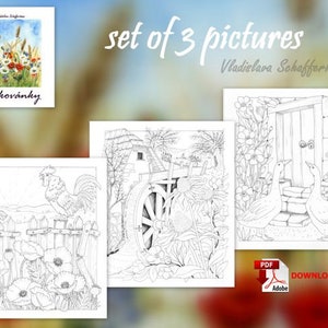 set of 3 pictures VEN1