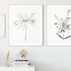 Pu&ograve; includere: Tre disegni in bianco e nero di fiori incorniciati. I disegni sono di una margherita, un giglio e un crisantemo. Le cornici sono bianche e i disegni sono su uno sfondo bianco.