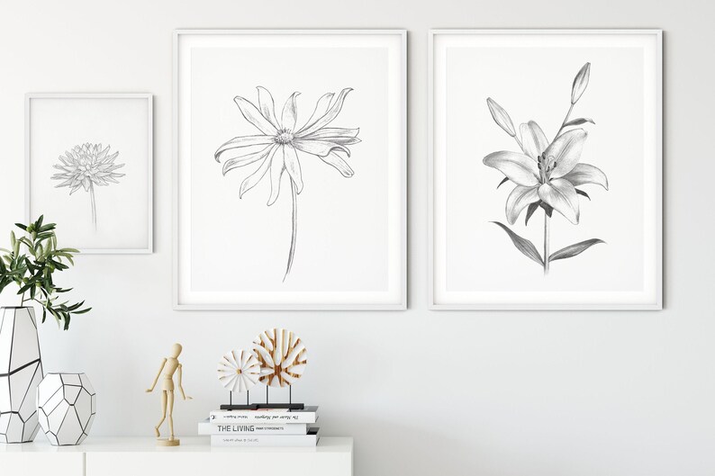 Pu&ograve; includere: Tre disegni in bianco e nero di fiori incorniciati. I disegni sono di una margherita, un giglio e un crisantemo. Le cornici sono bianche e i disegni sono su uno sfondo bianco.