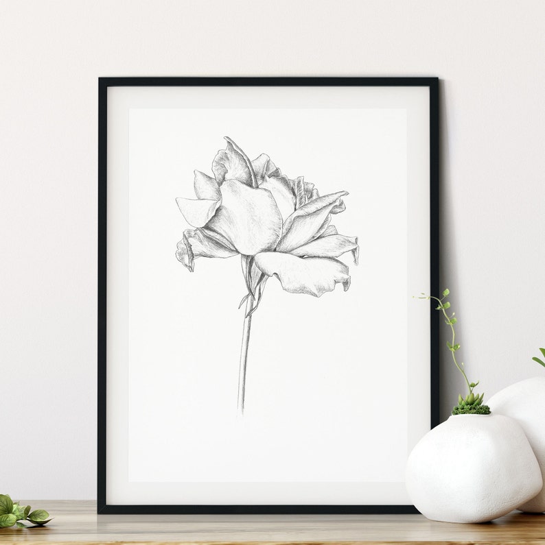  Rose  Dessin  D cor Minimaliste  Noir et Blanc Impression Etsy