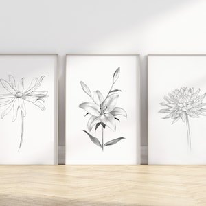 Pu&ograve; includere: Tre disegni in bianco e nero di fiori in cornici semplici. Il primo disegno &egrave; di una margherita, il secondo di un giglio e il terzo di una dalia.