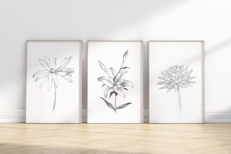 Pu&ograve; includere: Tre disegni in bianco e nero di fiori in cornici semplici. Il primo disegno &egrave; di una margherita, il secondo di un giglio e il terzo di una dalia.