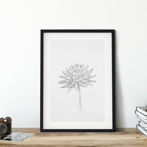 Pu&ograve; includere: Una stampa incorniciata nera di un disegno a matita di un singolo fiore su sfondo bianco.
