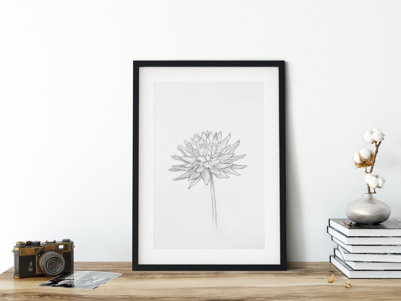 Pu&ograve; includere: Una stampa incorniciata nera di un disegno a matita di un singolo fiore su sfondo bianco.