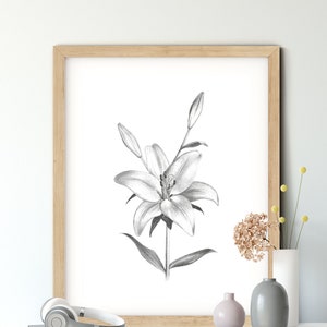 Lily Illustration/Printable Download/Minimalist Art/Black and White/Flower Print/Pencil Drawing/Botanical art/Lily Sketch/Flower Art