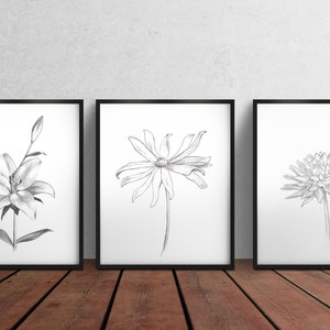 Pu&ograve; includere: Tre stampe incorniciate nere di disegni a matita di fiori. La prima stampa mostra un giglio, la seconda stampa mostra una margherita e la terza stampa mostra una dalia.