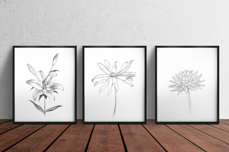 Pu&ograve; includere: Tre stampe incorniciate nere di disegni a matita di fiori. La prima stampa mostra un giglio, la seconda stampa mostra una margherita e la terza stampa mostra una dalia.