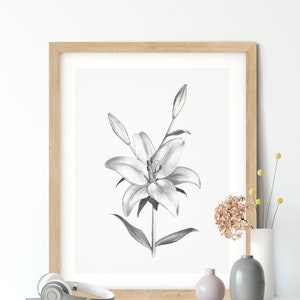 Pu&ograve; includere: Un disegno a matita in bianco e nero di un giglio in una cornice di legno. Il disegno &egrave; su sfondo bianco ed &egrave; esposto su uno scaffale bianco con un paio di cuffie, un piccolo vaso rosa e un vaso grigio con un piccolo mazzo di fiori secchi.