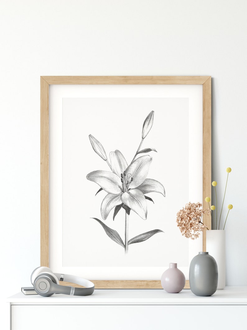 Pu&ograve; includere: Un disegno a matita in bianco e nero di un giglio in una cornice di legno. Il disegno &egrave; su sfondo bianco ed &egrave; esposto su uno scaffale bianco con un paio di cuffie, un piccolo vaso rosa e un vaso grigio con un piccolo mazzo di fiori secchi.