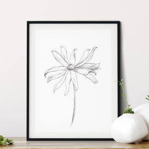 Pu&ograve; includere: Una stampa incorniciata nera di un semplice disegno a linea di un fiore su sfondo bianco.