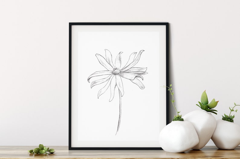 Pu&ograve; includere: Una stampa incorniciata nera di un semplice disegno a linea di un fiore su sfondo bianco.