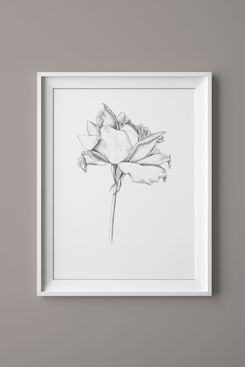  Rose  Dessin  D cor Minimaliste  Noir et Blanc Impression Etsy