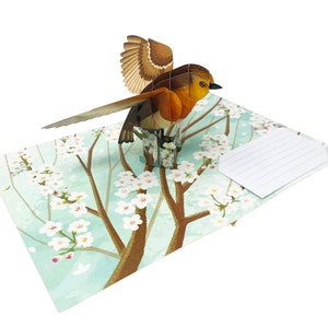 Robin Bird - WOW 3D Greeting Pop Up Card for All Occasions, Birthday, Love, Xmas, Spring, Good Luck, Travel | Free Ship | 5x7 inch