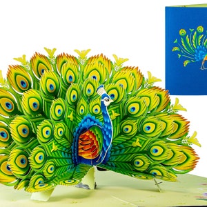 Stunning Peacock - WOW 3D Greeting Pop UP Card for All Occasions | Free Ship | 5x7 inch