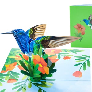 Kolibri - WOW 3D Pop Up Karte für alle Anlässe, Geburtstag, Liebe, Weihnachten, Frühling, viel Glück, Reise | Schiff frei | 13x18 cm