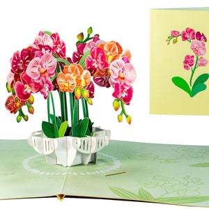 Flor de orquídea - Cartão pop-up 3D WOW para todas as ocasiões | Frete grátis | 5 x 7 polegadas