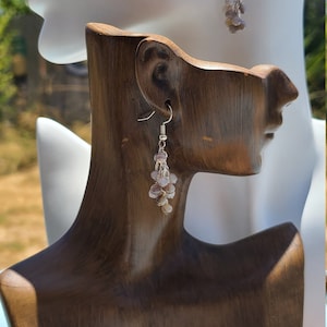 Botswana Agate Earrings