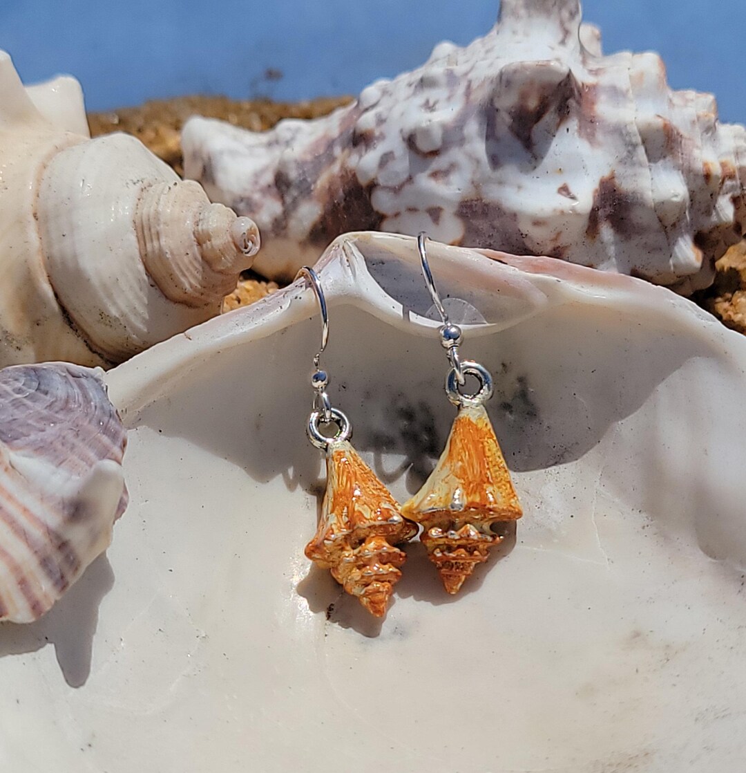 Conch Shell Earrings - Etsy