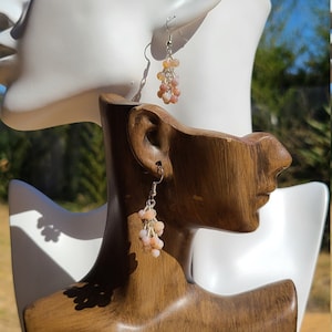 Crazy Lace Agate Earrings
