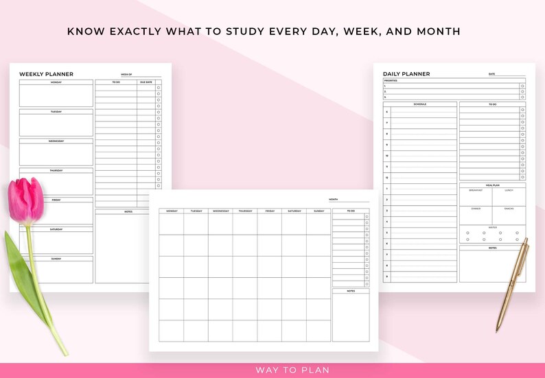 May include: A collection of white paper planners with black grid lines and text. The planners include weekly, daily, and monthly layouts. The text on the image reads "KNOW EXACTLY WHAT TO STUDY EVERY DAY, WEEK, AND MONTH" and "WAY TO PLAN". A pink tulip and gold pen are also visible.