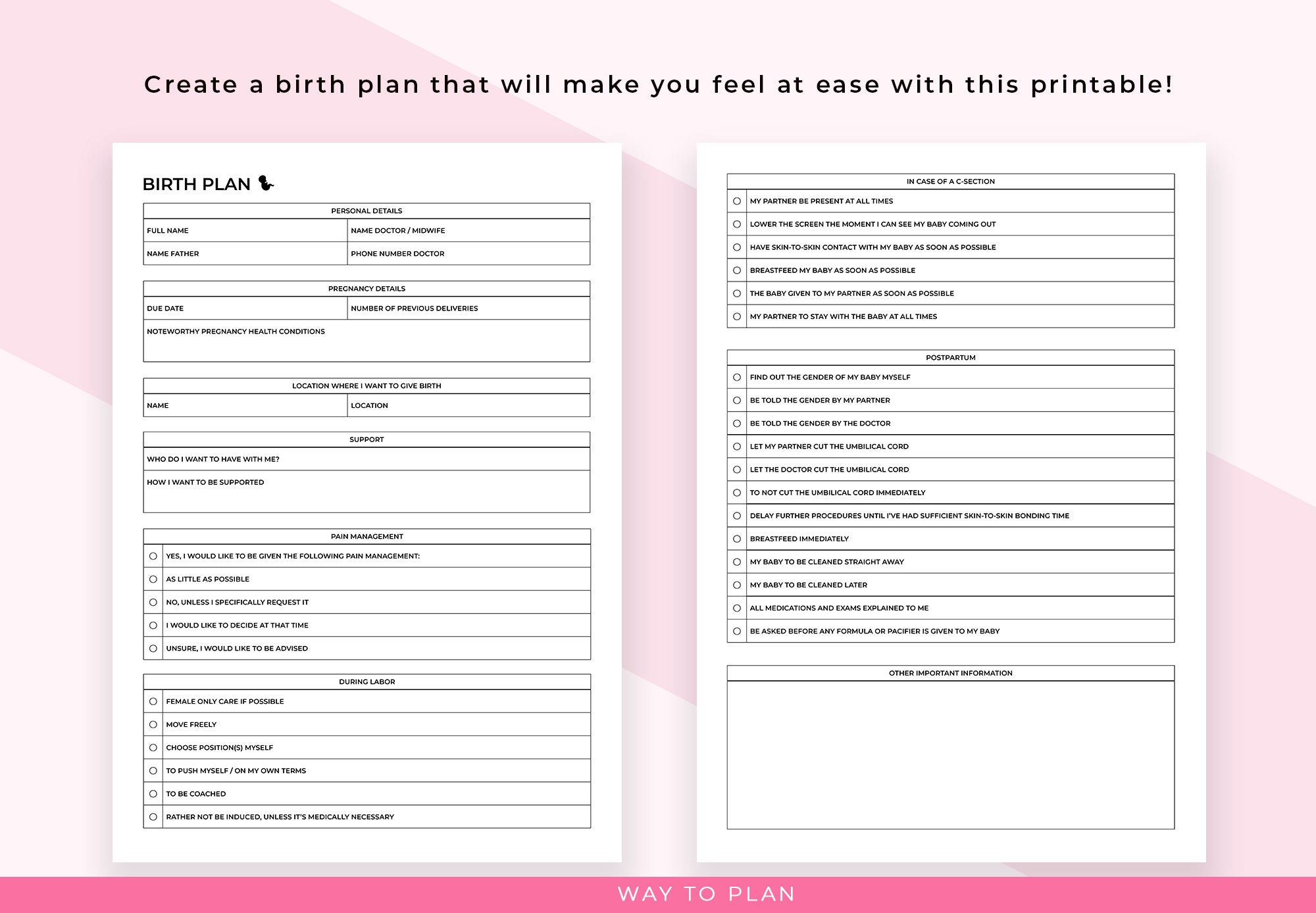 Birth Plan Template. Printable My Birth Plan Preferences. Simple ...