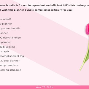 INTJ-plannerbundel afbeelding 2