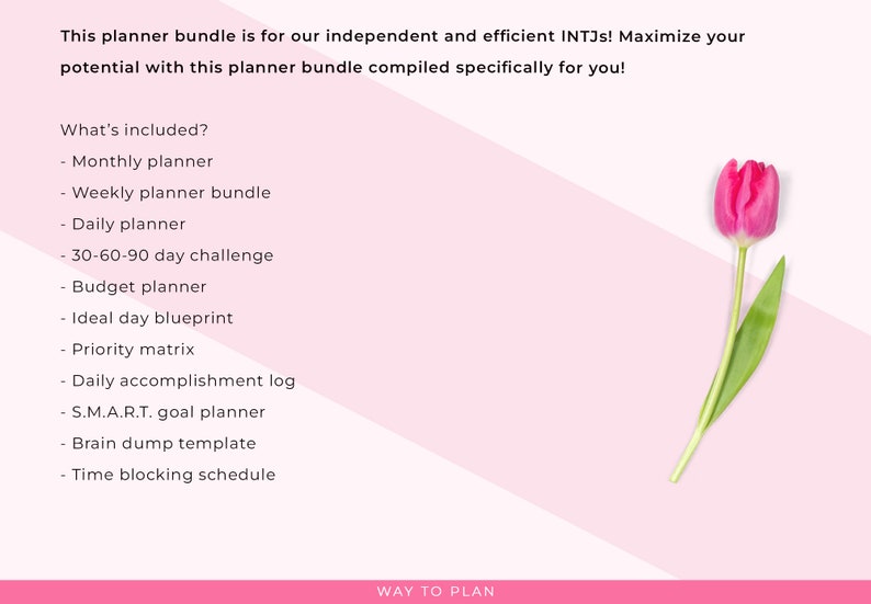 INTJ-plannerbundel afbeelding 2