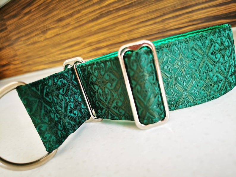 May include: A green dog collar with a silver buckle and a patterned design. The collar is made of a soft, durable material and is perfect for dogs of all sizes.