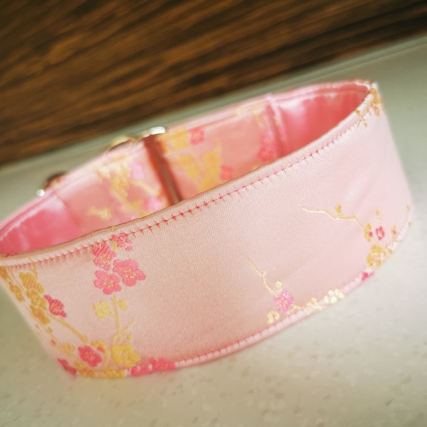 Martingale collar, Dog collar, Sighthound collar, Galgo collar, Greyhound collar, Saluki collar, dog collars,