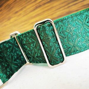 May include: A green dog collar with a silver buckle. The collar has a patterned design.