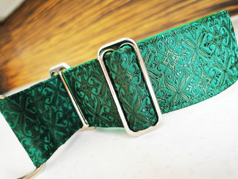 May include: A green dog collar with a silver buckle. The collar has a patterned design.